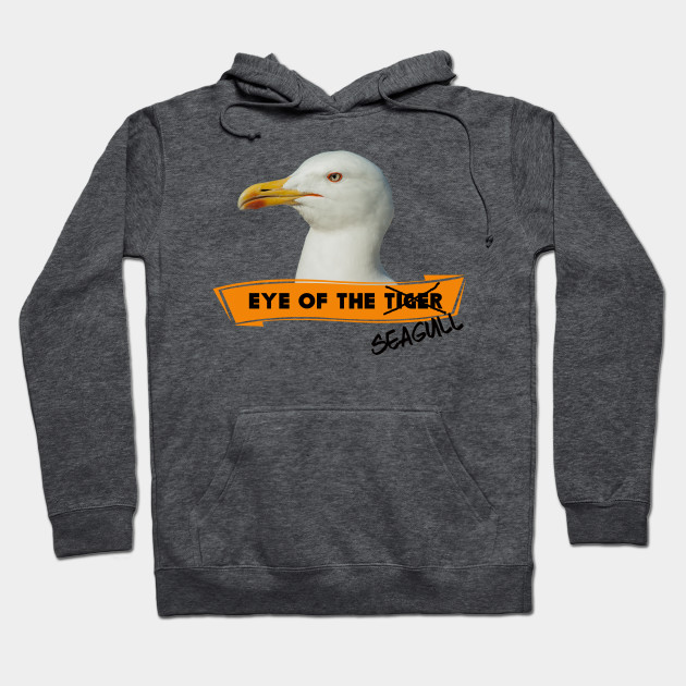 Eye of the Seagull